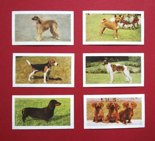 Hornimans six vintage 1961 - ,