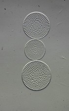 Antique microscope slide by H.J.Baker. Diatoms. Stictodiscus californicus. N.Z.