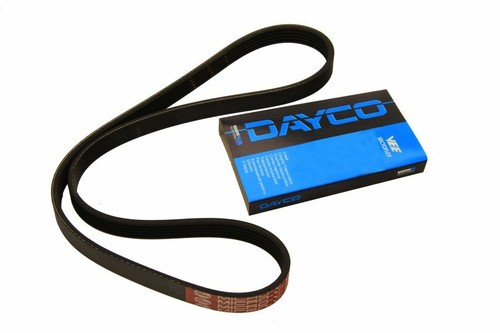 Dayco day5pk1125 ribbed belt - day5pk1125,