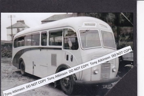 Willman coaches commer - coaches,