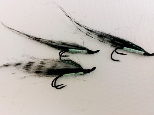 Tiger sunrays size 6 - sunrays,