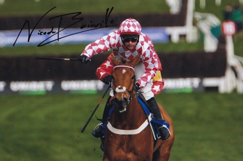 Horse racing nico - horse, de