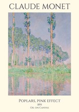 Monet poster print - poster,