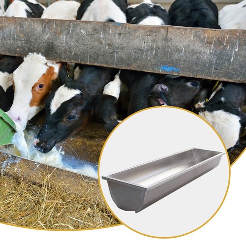 Feeding trough easy clean - feeding, to