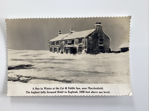 1966 photo postcard - 1966, cat