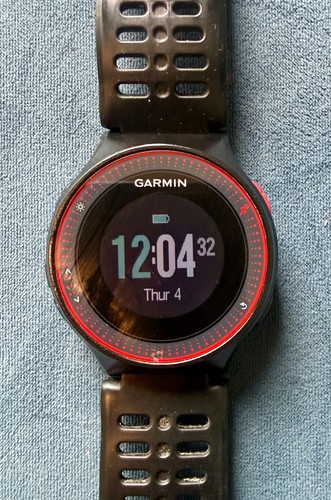 Garmin forerunner 225 running - forerunner,