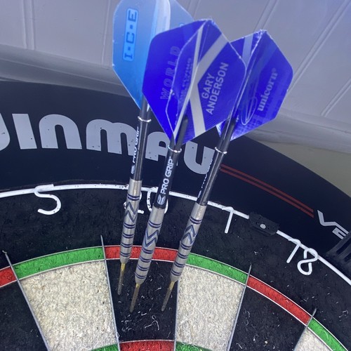 Gerwin price darts 24g