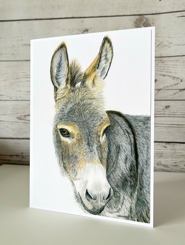 Donkey print greeting card - greeting,
