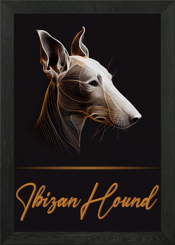 Ibizan hound framed - ibizan,