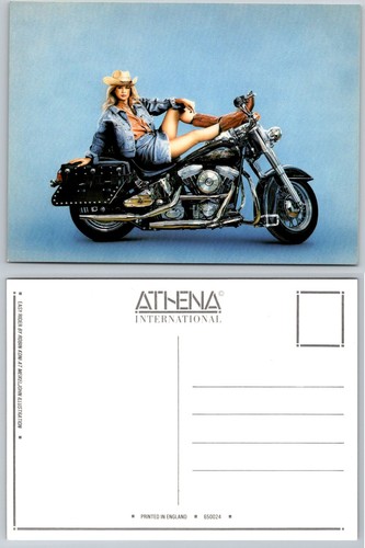 Athena international easy - athena,