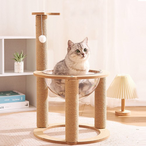 Cat scratching post tree tower - cat,