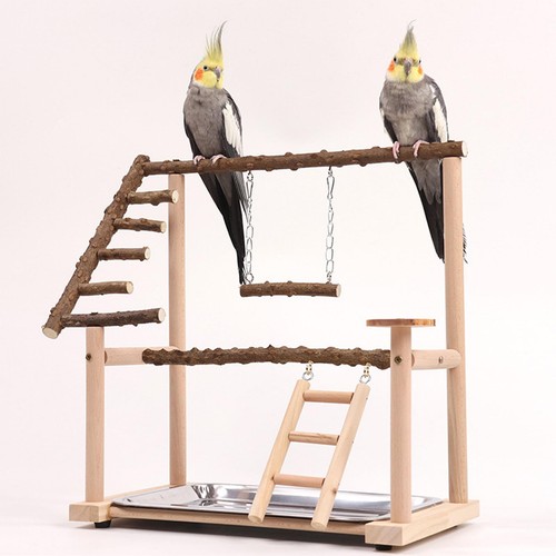 Parrot playground sturdy - parrot,