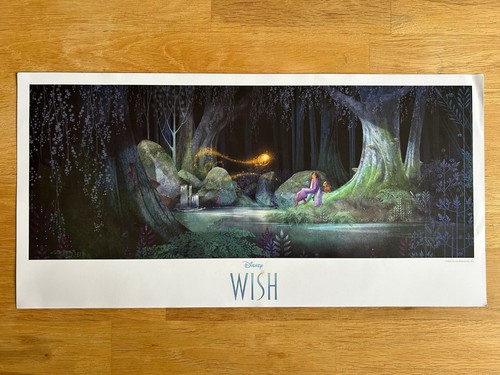 Disney wish lithograph - wish,