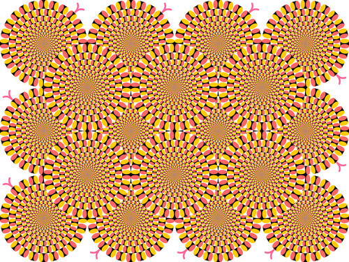 Hypnotic rotation garden - rotation,