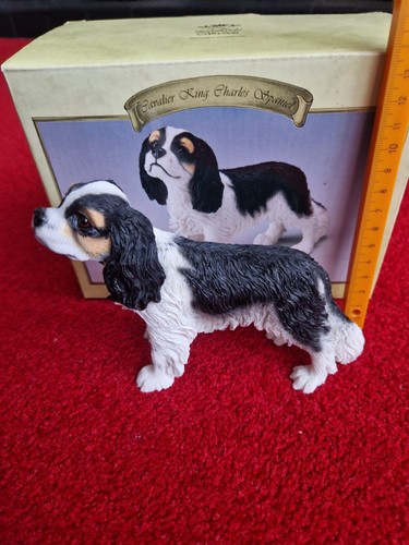 Leonardo cavalier king charles - cavalier,