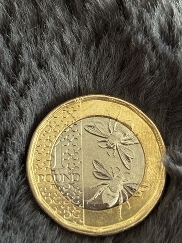 2025 one pound - 2025,