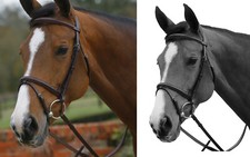 MARK TODD ENGLISH LEATHER