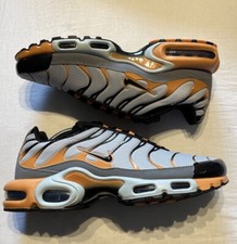 Nike Air Max Plus TN Grey /