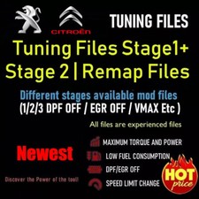 PEUGEOT CITROEN Ecu Remap Chip