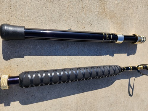 Custom salt water fishing pole - salt,