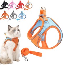 Stimuli Cat Harness Design for