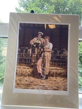 Robin Wheeldon Spring Lambs