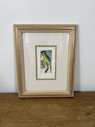 Vintage blue parrot - vintage,