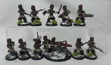 Warhammer 40k Valhallan Ice