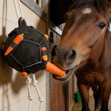 Horse Carrot Feeding Ball Toy