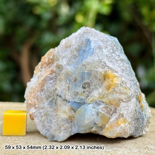 Opal gunheath china - gunheath, clay