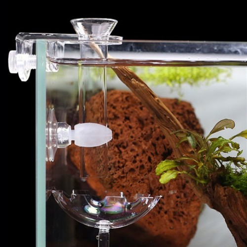 Shrimp feeder tube aquarium - shrimp,