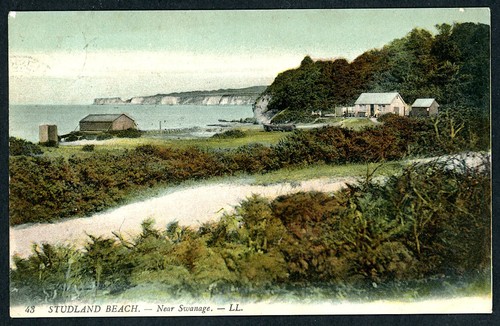 Studland beech near - beech,,
