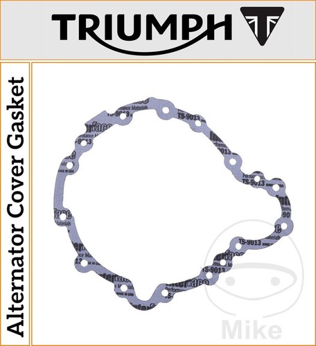 Triumph speed triple 1050 efi - triple,