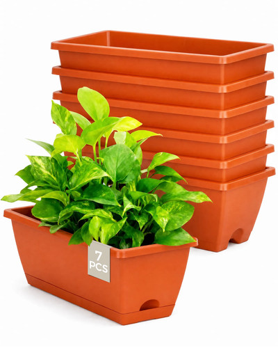 Bamworld pcs window box - bamworld, 7