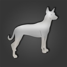 Xolo (Mexican Hairless) Style 2 Silver Acrylic Mirror