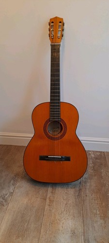 Tatra classic acoustic guitar - tatra,