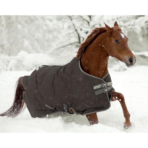 Horseware amigo pony hero - amigo,