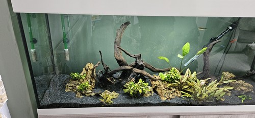 Eheim 4ft fish tank and - 4ft,