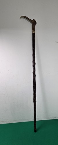 Long carved stag horn - stag, coronet