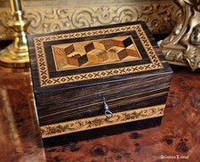 Fine Antique Coromandel Tunbridge Ware Tea Caddy Box, Victorian 19th Century