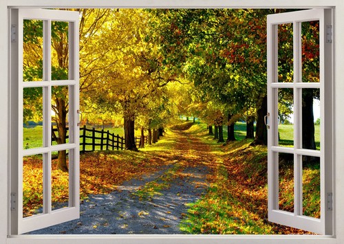 Beauty nature walk way leafs - nature,