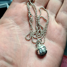 Egyptian Scarab Beetle