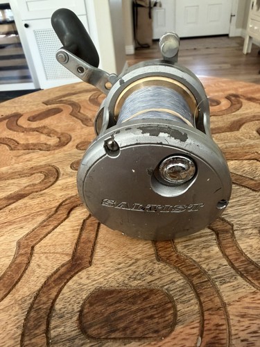 Daiwa saltist 50h fishing - fishing, reel