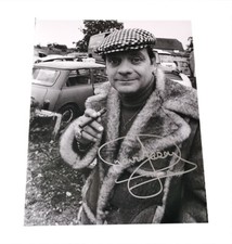 Only Fools and Horses David
