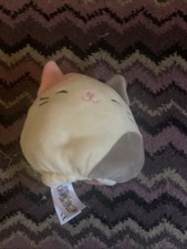 Cameron The Cat Squishmallow