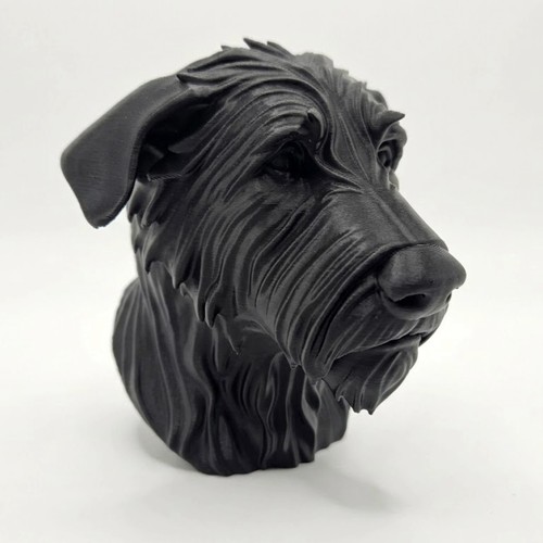 Irish wolfhound dog - wolfhound, bust