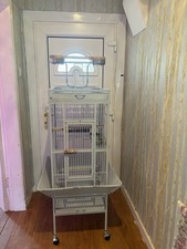 Rainforest Bolivia Play Top