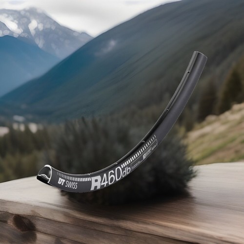 Swiss 460 disc - r,