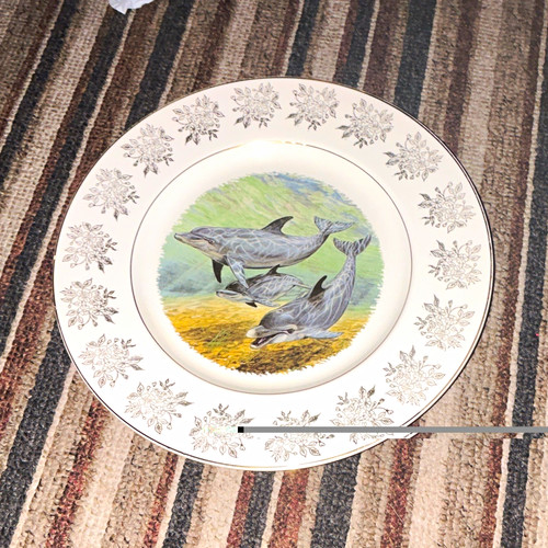 Decorative dolphin collector - decorative,