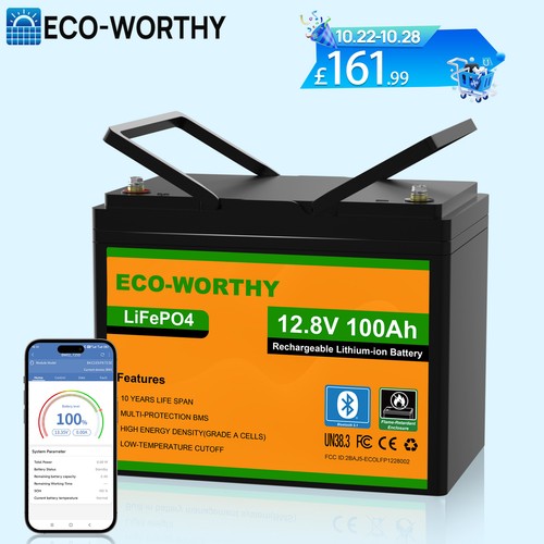 Eco worthy 12v 100ah lifepo4 - 12v,